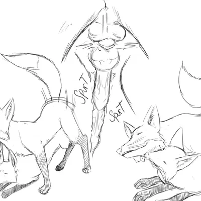 created by mirokuferral