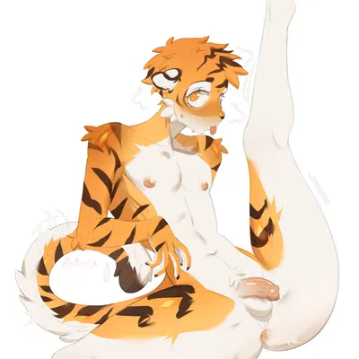 created by oatmealkasha