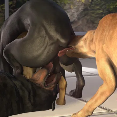 created by obsceneeighteensfm