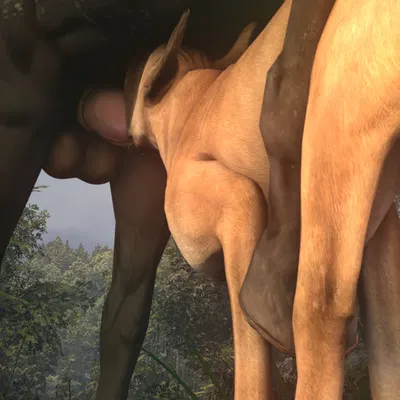 created by obsceneeighteensfm