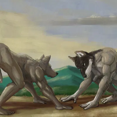 created by sampsonwoof