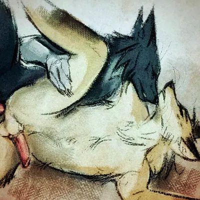 created by schattenriss