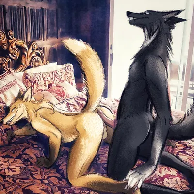 created by schattenriss