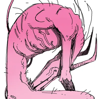 created by scuotivento