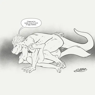 created by shane nelson