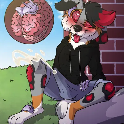 created by soniethedog