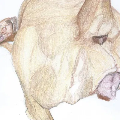 created by thegoldenshepherd