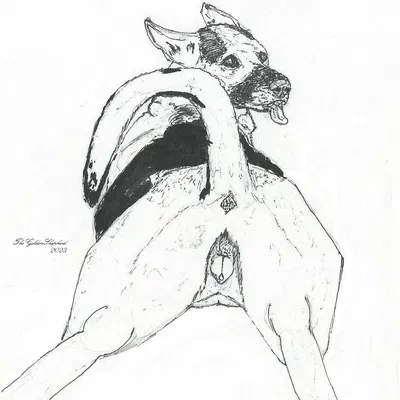 created by thegoldenshepherd