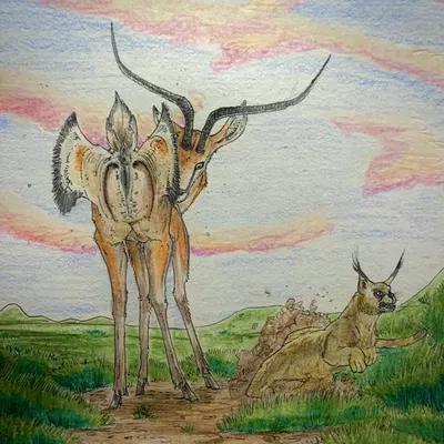 created by thespeculator21