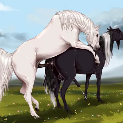 created by velvet requiem