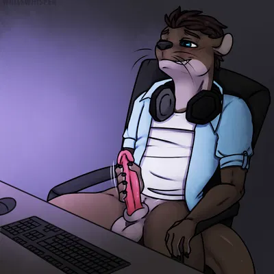 created by wallswhisper