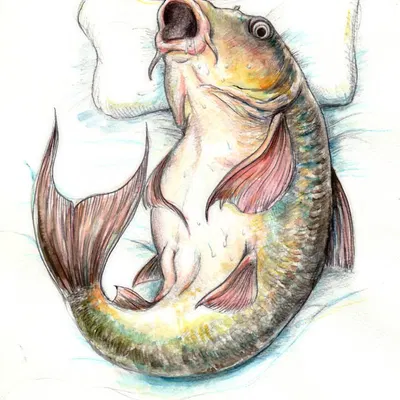 created by yukikingyoo