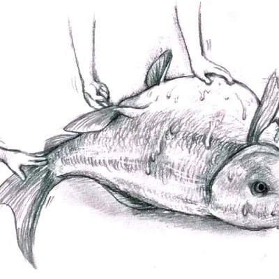 created by yukikingyoo