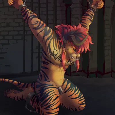 guild wars created by crazydonkey