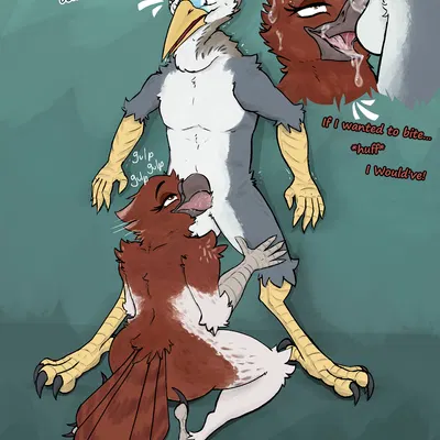 henri (bombird), rose (ferobird) created by urefunest