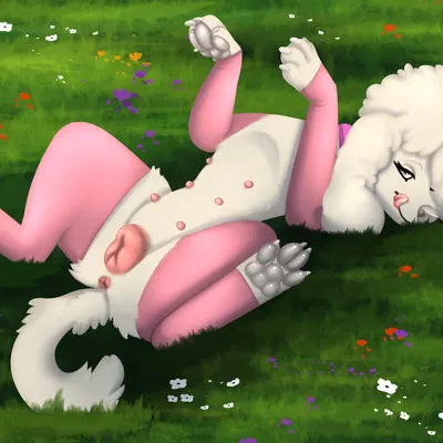 honey (housebroken) (housebroken) created by nauticalcanine