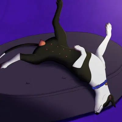 jess (kinaj) created by kaerfflow