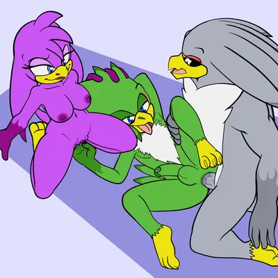 jet the hawk, storm the albatross, wave the swallow (sega, sonic riders) created by fourssss