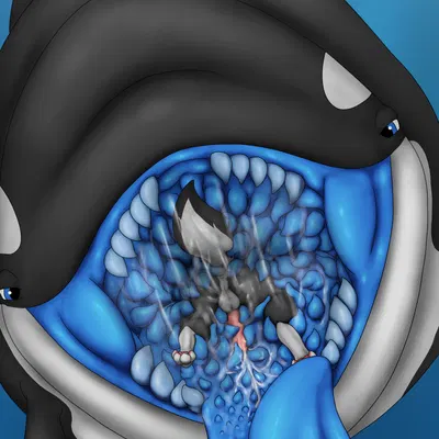 jusicing, odis created by orcaxdragon