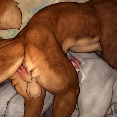 kaj (familiar travels), roidhfox created by anchee