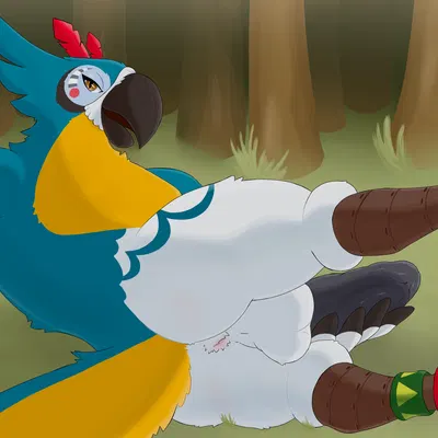 kass (tloz) (breath of the wild, nintendo) created by drayyko