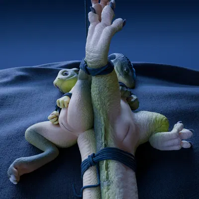 keie, viuru created by dzat