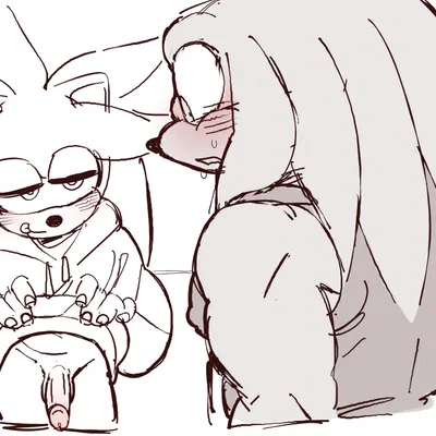 knuckles the echidna, silver the hedgehog (sega, sonic the hedgehog (series)) created by meowwabae