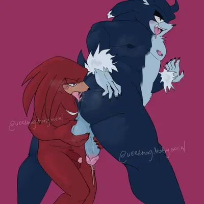 knuckles the echidna, sonic the hedgehog, sonic the werehog (sega, sonic the hedgehog (series)) created by barkxfang