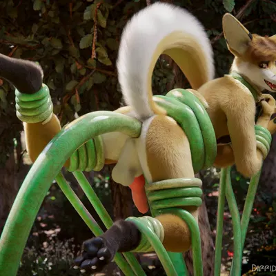 kobaj created by ev3d