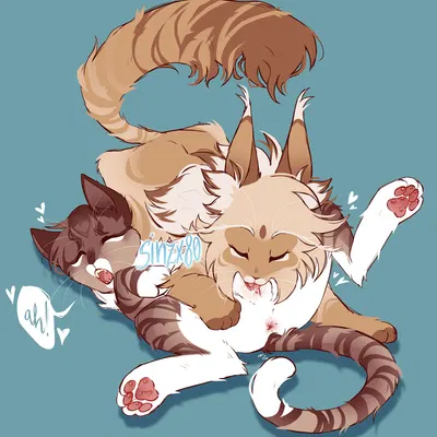 leafpool (warriors), mothwing (warriors) (warriors (book series)) created by sinzx80