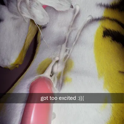 lexxi (lemonbun) (snapchat) created by lemonbun