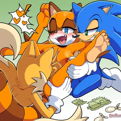marine the raccoon, miles prower, sonic the hedgehog (sega, sonic the hedgehog (series)) created by senshion