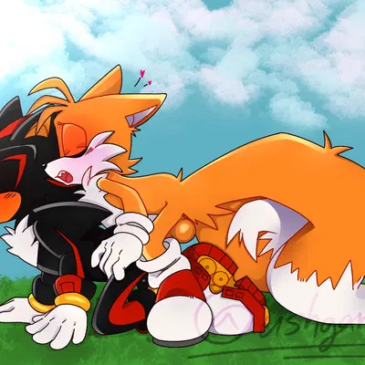 miles prower, shadow the hedgehog (sega, sonic the hedgehog (series)) created by ushgans