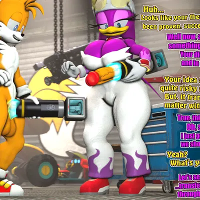 miles prower, wave the swallow (sega, sonic riders) created by sarah dellen