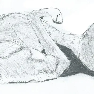 mocha (thegoldenshepherd) created by thegoldenshepherd