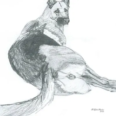 mocha (thegoldenshepherd) created by thegoldenshepherd