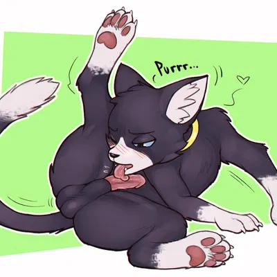 morgana (persona) (atlus, megami tensei) created by vaktus