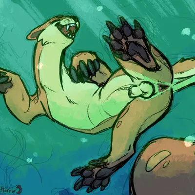 neopets created by meldritchhorror