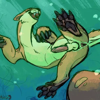 neopets created by meldritchhorror