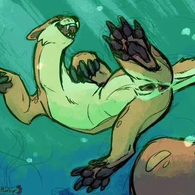 neopets created by meldritchhorror