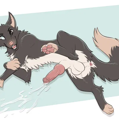 octavia (exodog) created by digitoxici