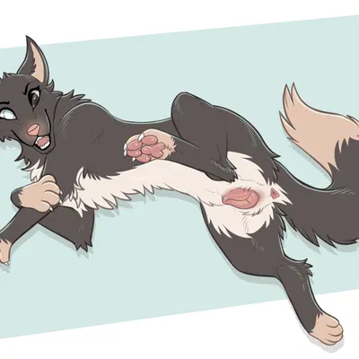 octavia (exodog) created by digitoxici