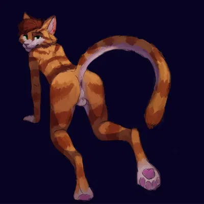 orange cat (tazal) created by tazal
