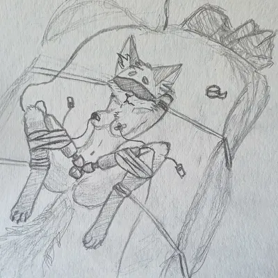 pappy (vkontakte) (vkontakte)