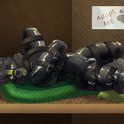 pollux (polluxthewolf) created by crazydonkey