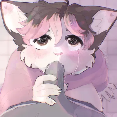 quinn (purin) created by purrypurin