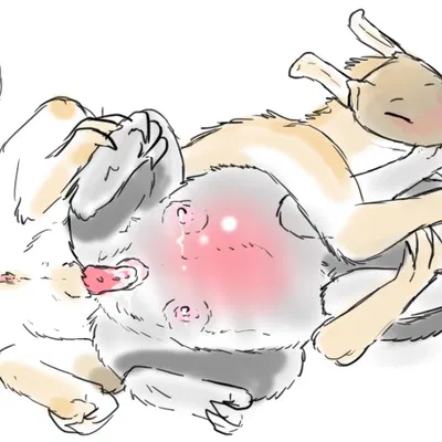 rain world, videocult created by welcometaco