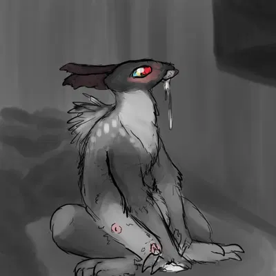 rain world, videocult created by welcometaco