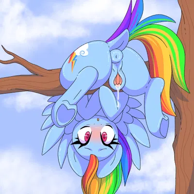 rainbow dash (mlp) (friendship is magic, hasbro) created by nightneko