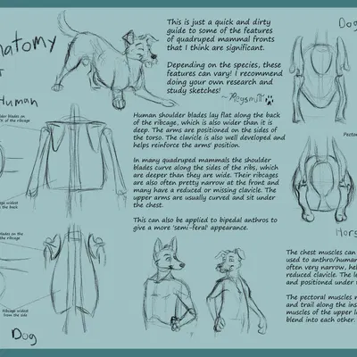 reg (regsmutt), william (regsmutt) created by regsmutt